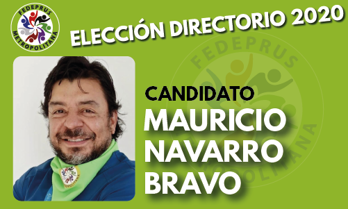 MAURICIO NAVARRO BRAVO
